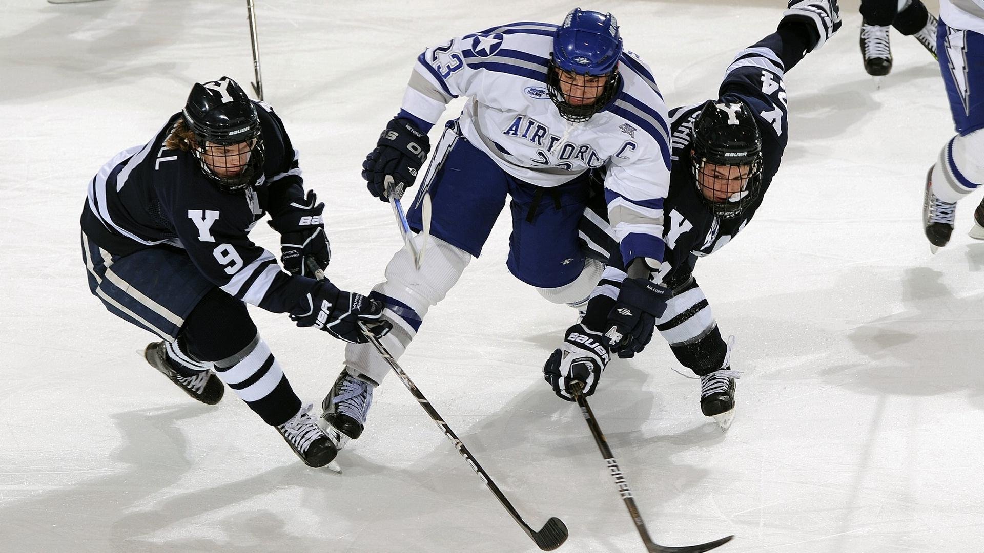 综合格斗赛场焦点！阿根廷队对阵法国队，防守反击奏效，球队笑到最后